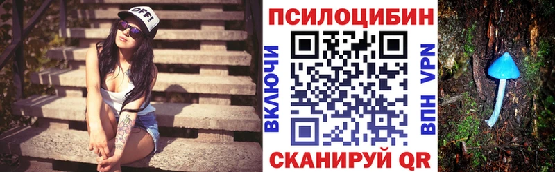 Псилоцибиновые грибы Psilocybe  сайты даркнета формула  Янаул 